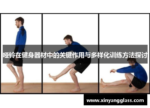哑铃在健身器材中的关键作用与多样化训练方法探讨