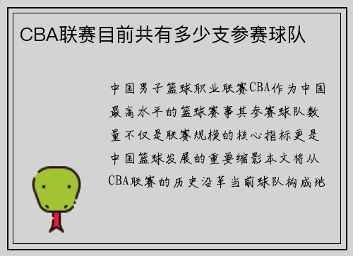 CBA联赛目前共有多少支参赛球队