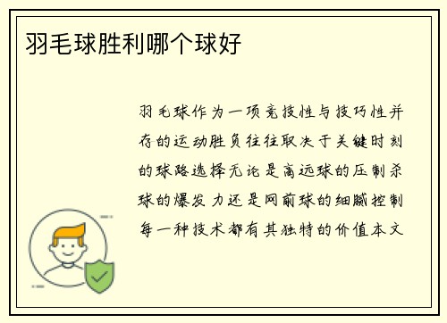 羽毛球胜利哪个球好