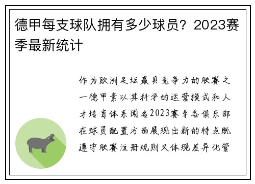 德甲每支球队拥有多少球员？2023赛季最新统计